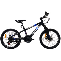 دوچرخه 20 اینتنس v1